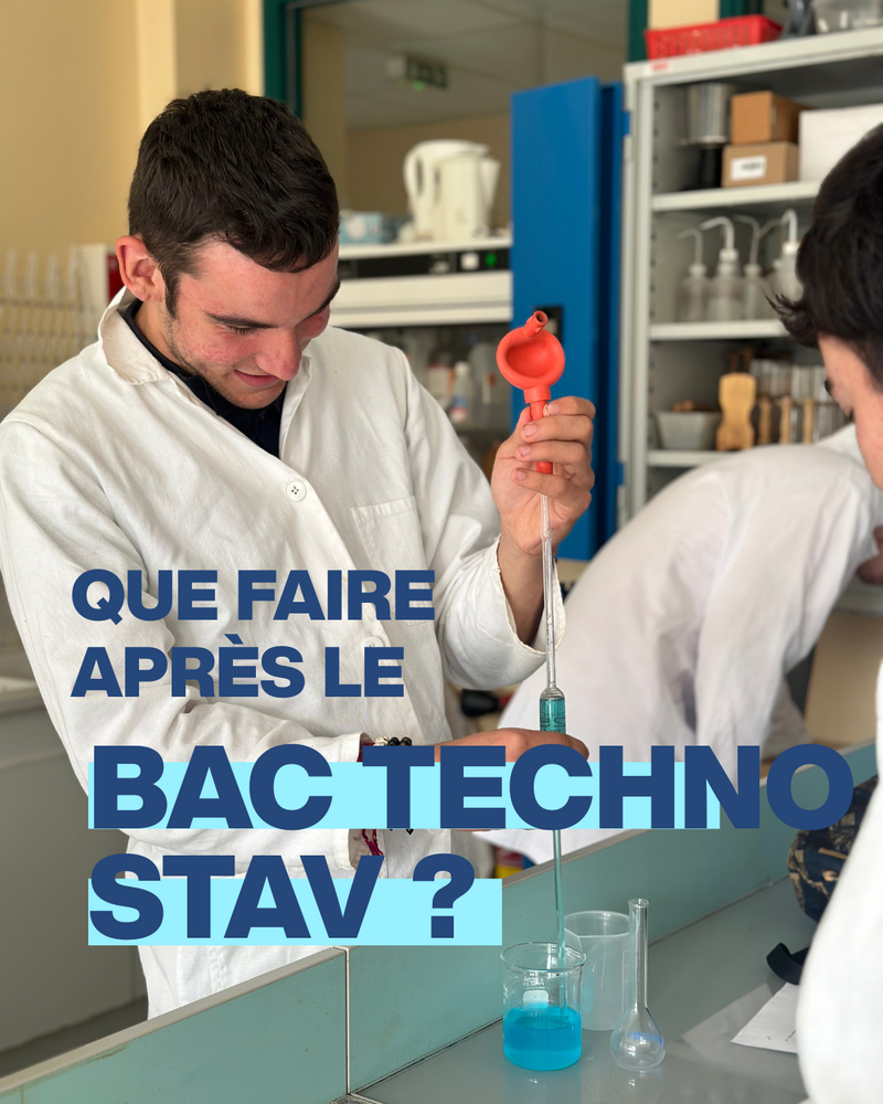 Que faire après un Bac techno STAV ?
