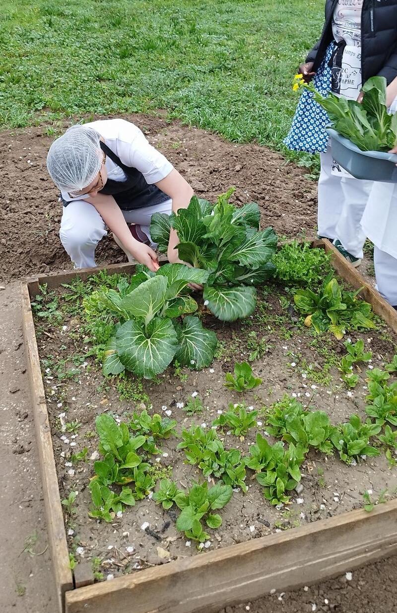 Du potager à l’assiette