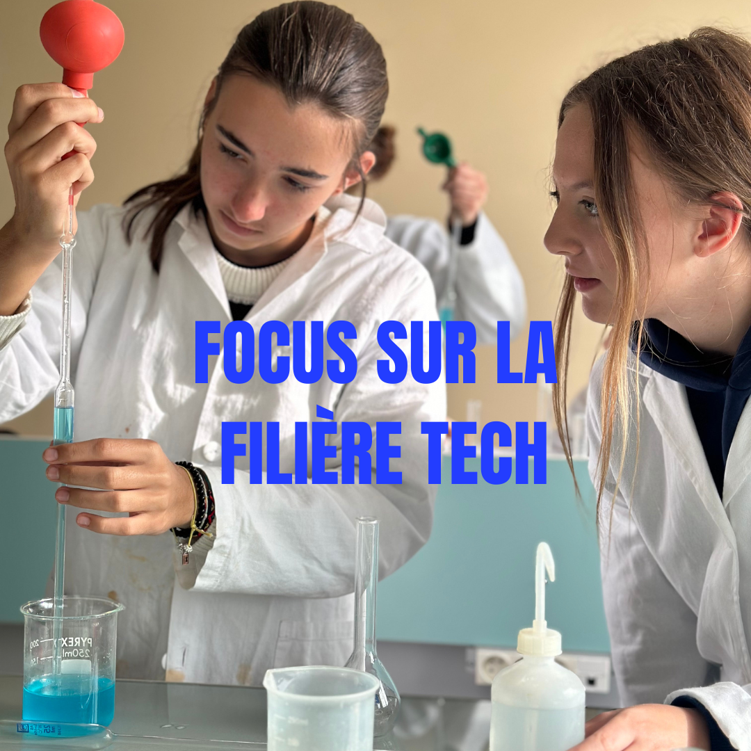 Focus sur la filière technologique