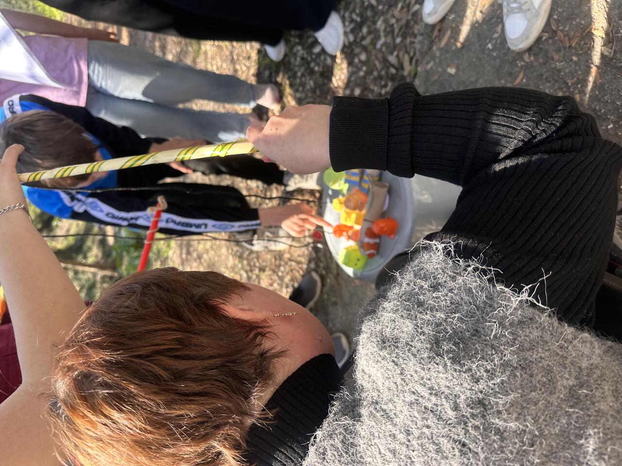 Module d’Initiative Professionnelle (MIP) pour CAP SAPVER