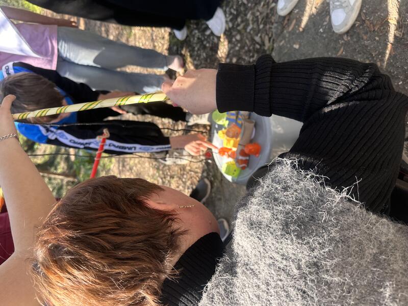 Module d’Initiative Professionnelle (MIP) pour CAP SAPVER