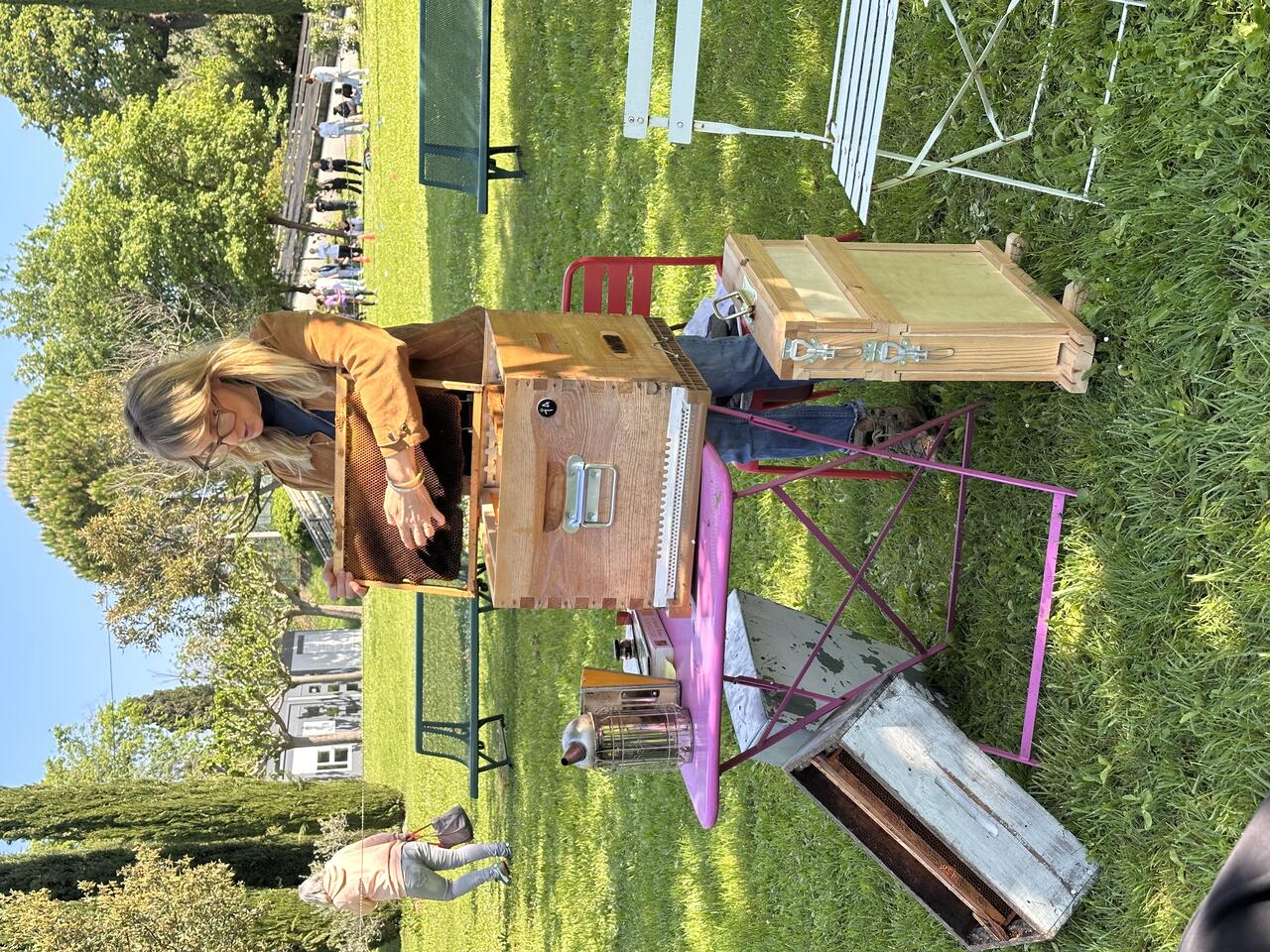 Les abeilles, un métier qui pique la curiosité !