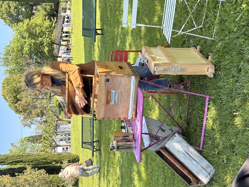 Les abeilles, un métier qui pique la curiosité !