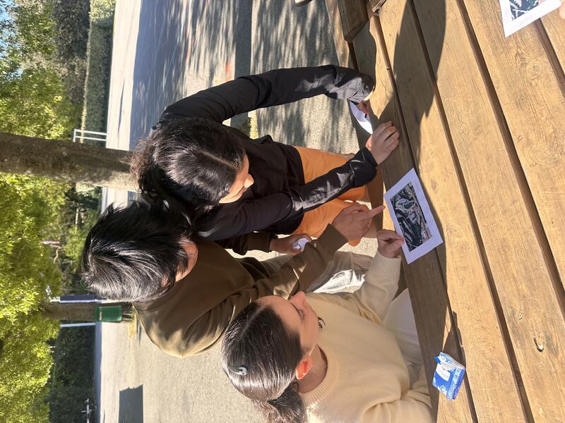 Découvrir Les Chênes autrement