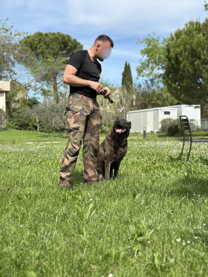 Rencontre avec un maître-chien de l’armée de Terre